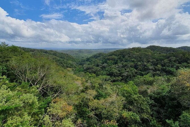 visit-ixpanpajul-jungle-trekking-hanging-bridges-canopy-tour-from-flores