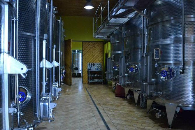 visit-the-marchesi-de-cordano-winery-and-taste-its-wines