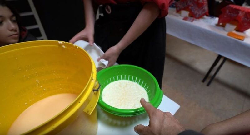 volendam-2-5-hour-cheesemaking-workshop-clog-making-tour