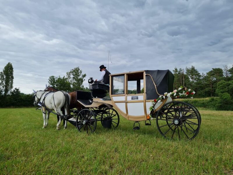 wachau-porcelain-carriage-a-sparkling-carriage-ride-through-the-vineyards