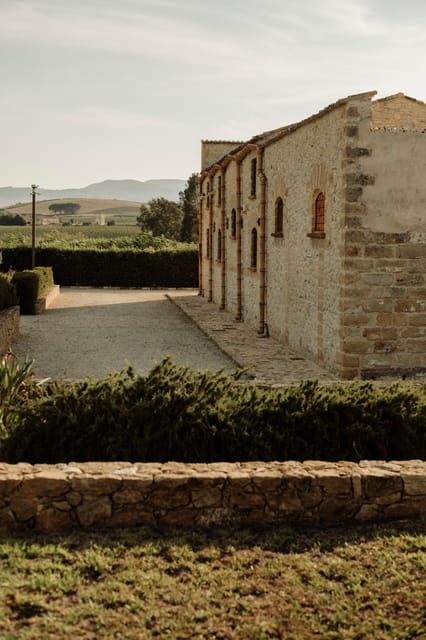 walk-in-the-vineyard-between-history-and-food-and-wine-in-alcamo-estate