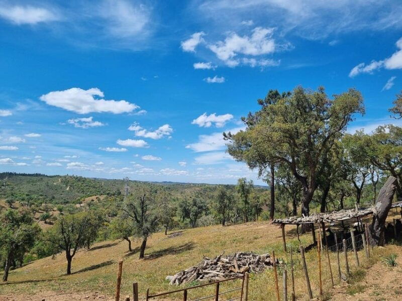 walk-through-hills-with-a-local-goat-herder-and-their-goats