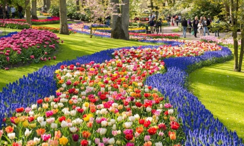warmond-windmill-cruise-and-keukenhof-entry-ticket