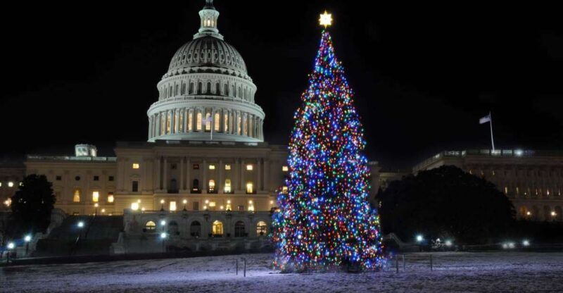 washington-dc-holiday-lights-nighttime-bus-tour
