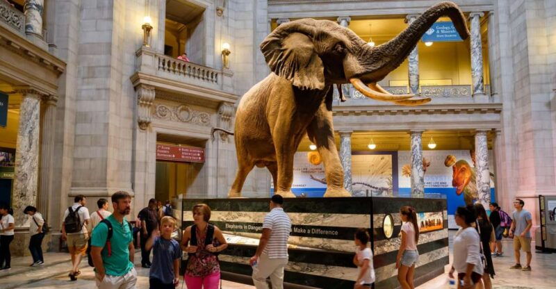 washington-dc-museum-of-natural-history-private-guided-tour
