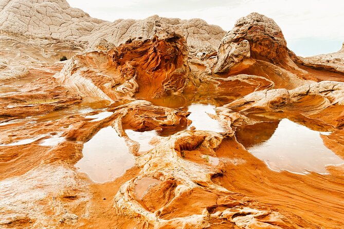 white-pocket-morning-off-road-guided-hike-activity-small-group