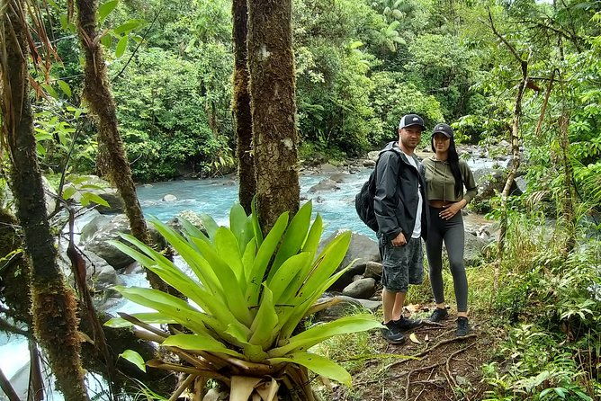 wild-life-and-horseback-riding-through-the-rain-forest