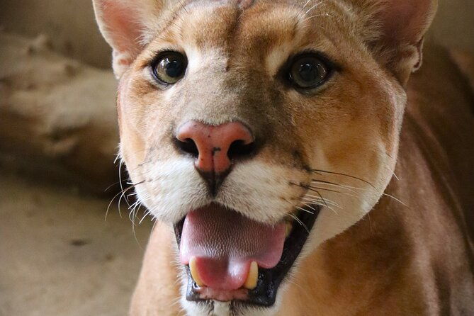 wildlife-rescue-center-in-nature-reserve-near-santa-cruz