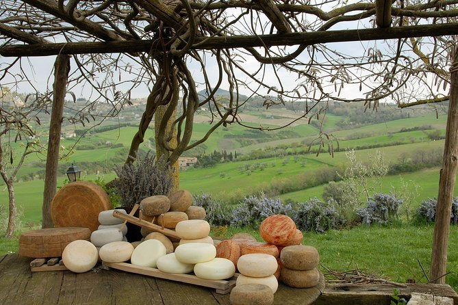 wine-cheese-and-evo-oil-tastings-in-tuscany-full-day-from-rome
