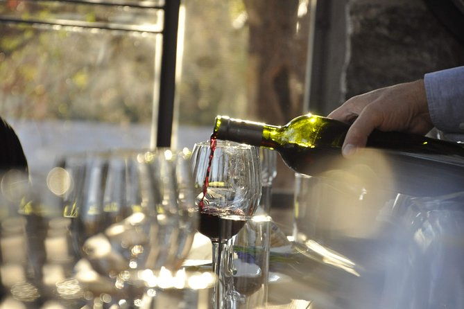 wine-horses-wine-tour-in-cordoba-argentina