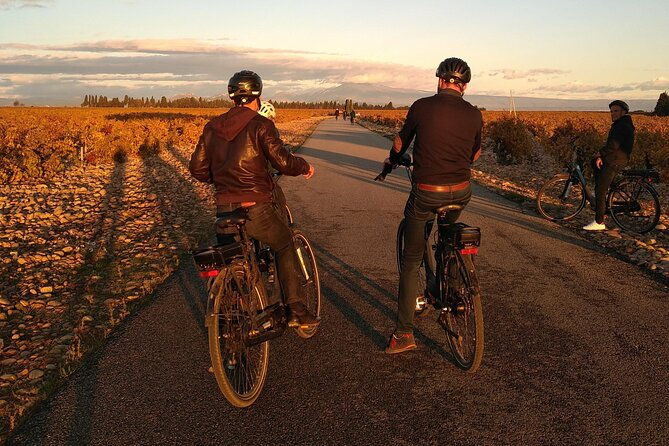 wine-of-the-luberon-by-e-bike-not-to-be-missed