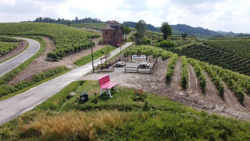 wine-tasting-of-monferrato-with-a-visit-to-the-winery