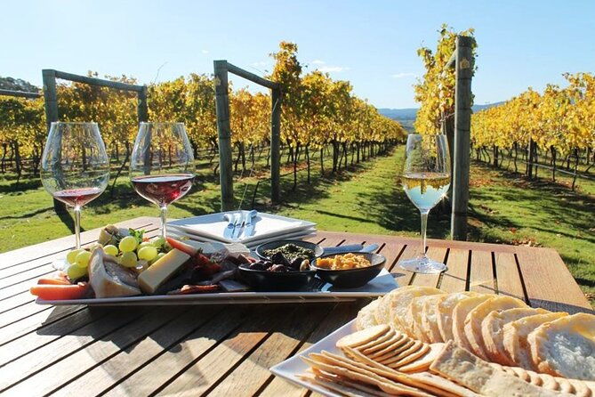 wine-tour-and-private-cooking-class-6-hours