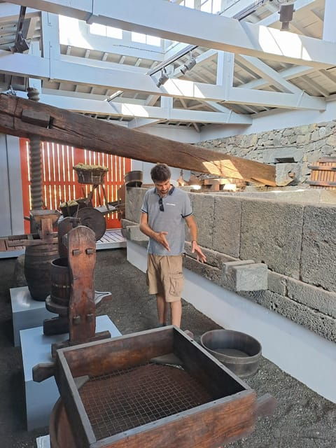 wine-tour-and-tasting-with-a-local-winemaker-at-pico-island-2