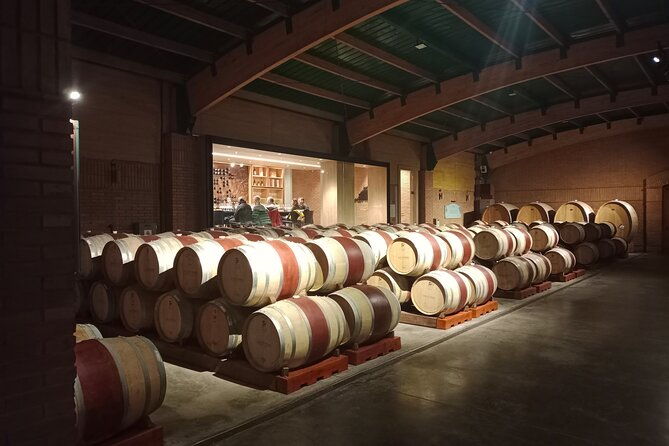 wine-tour-casas-del-bosquebodegas-re-vineyards-casablanca-valley