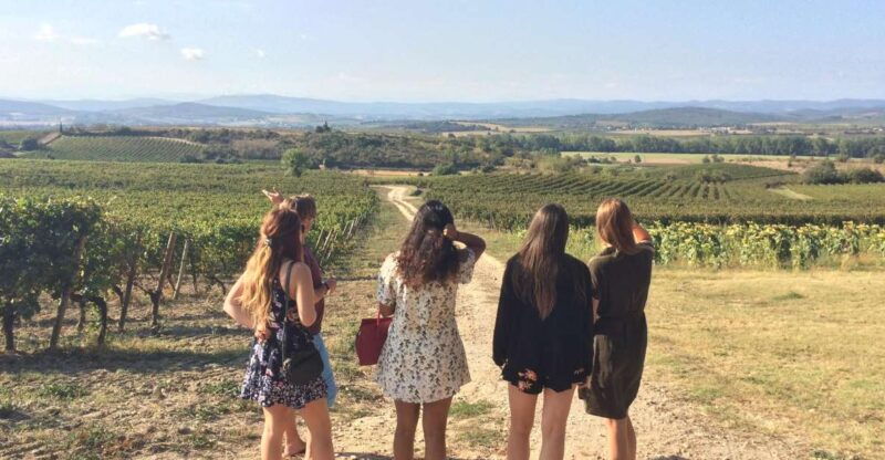 wine-tour-cathar-country