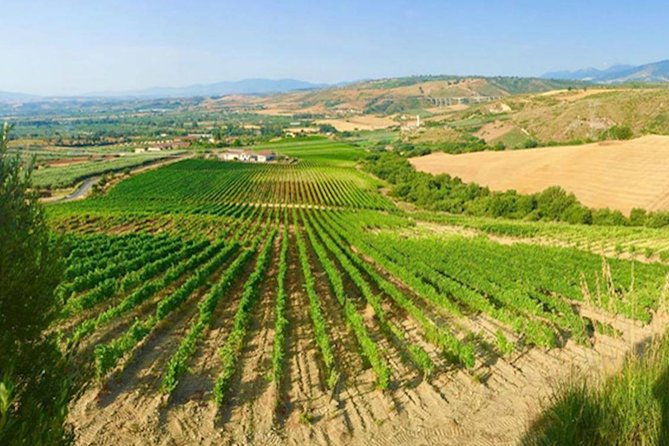 wine-tour-in-calabria-tenuta-celimarro-winery