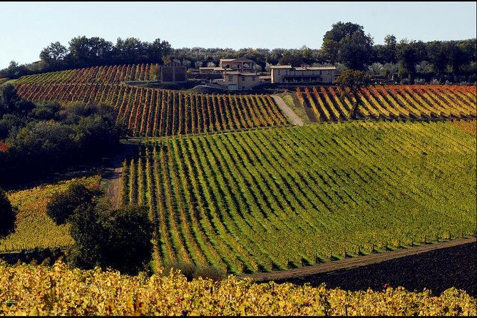 wine-tour-in-umbria-along-the-sagrantino-trail-with-light-lunch