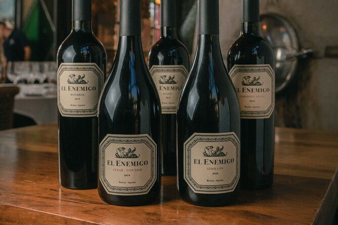 winery-the-enemy-argentine-roast-with-wine-private-transportation