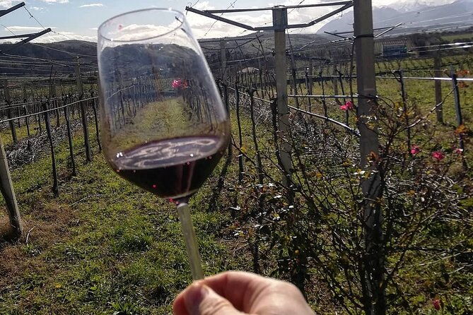 winery-tour-and-tasting-in-abruzzo