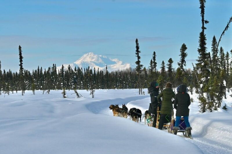 winter-dog-sled-tour-day-or-night-mush