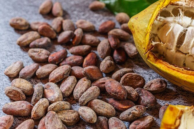 xunantunich-mayan-ruins-cacao-farm-and-traditional-chocolate-making-tour