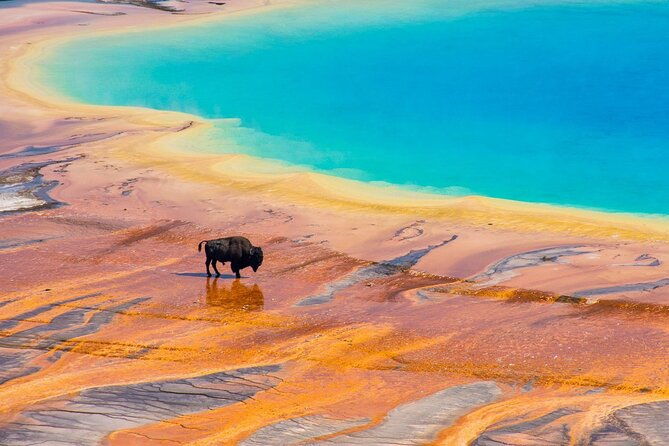 yellowstone-and-grand-teton-5-day-tour-from-salt-lake-city