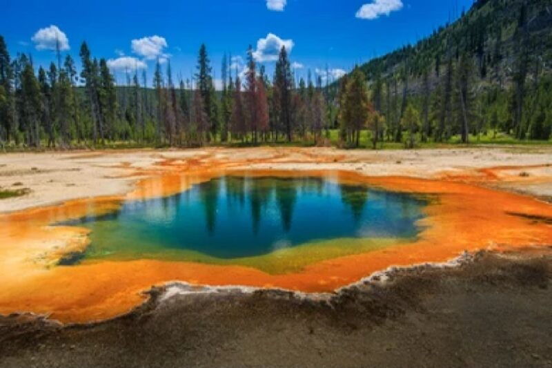 yellowstone-grand-tetons-4-day-3-night-wildlife-adventure
