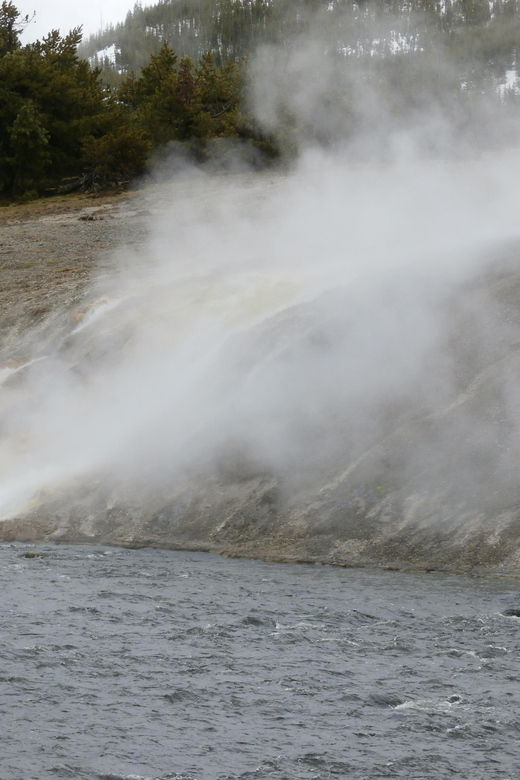 yellowstone-wildlife-tours-from-west-yellowstone-montana