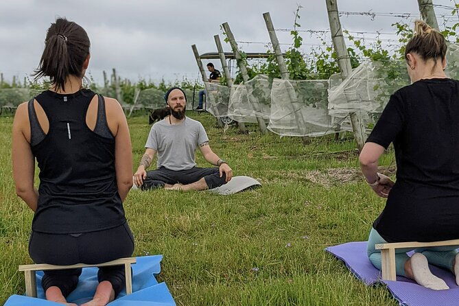 yoga-in-vineyards-and-brunch