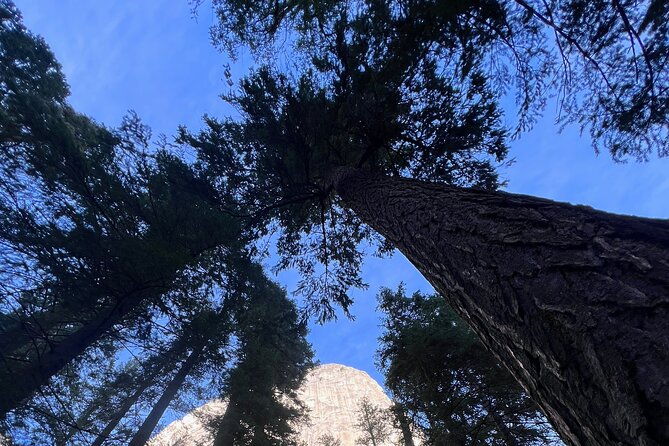 yosemite-day-trip-to-3-waterfalls-with-views-from-san-francisco