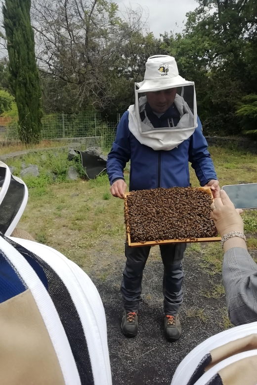zafferana-etnea-honey-extraction-workshop-and-honey-tasting
