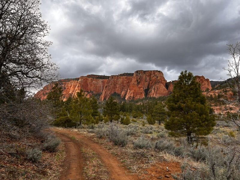 zion-national-park-5-hour-tour-hike-and-drive