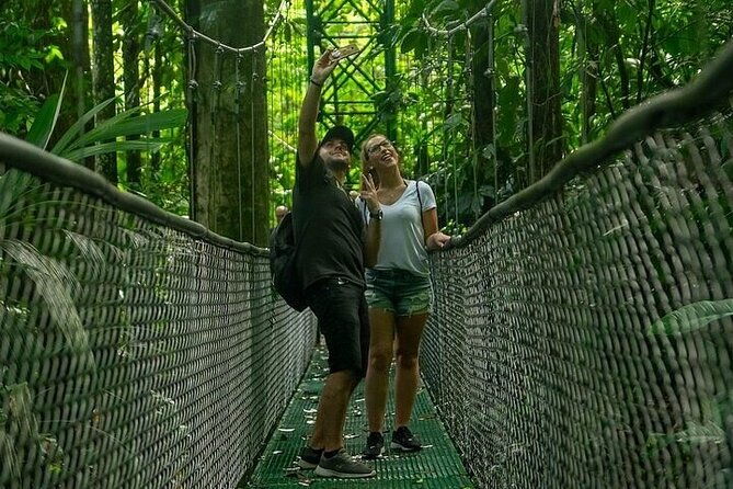 zipline-adventure-rainforest-hanging-bridges-skywalk