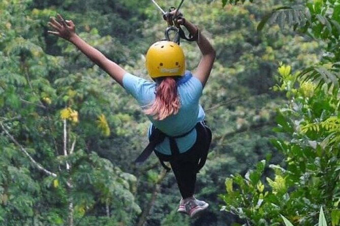 zipline-and-rappel