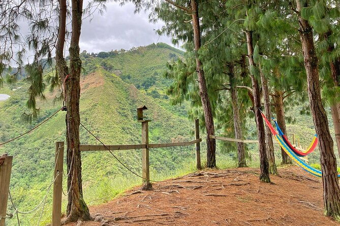 zipline-canopy-tour