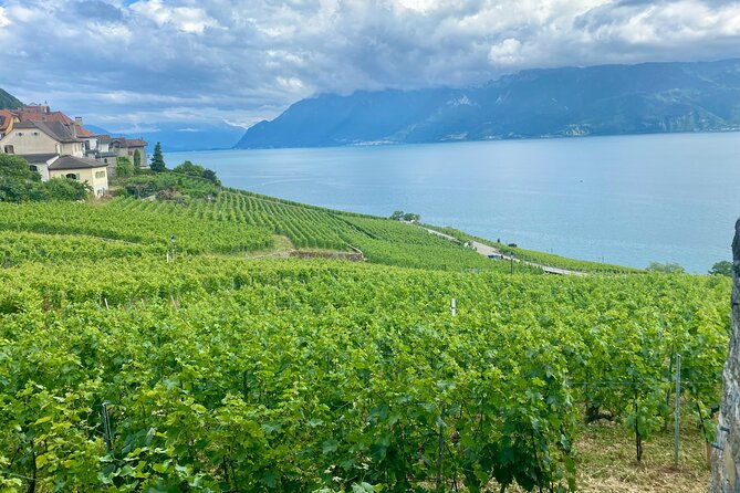 zurich-private-tour-gruyeres-cheese-and-lavaux-unesco-wine