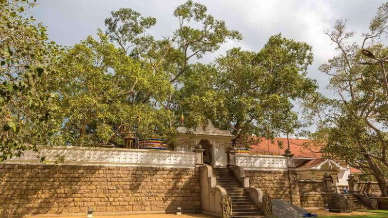 09-days-heritage-trails-of-sri-lanka