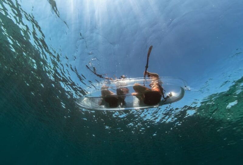 1-5-hour-clear-kayak-rentals-explore-the-underwater-world