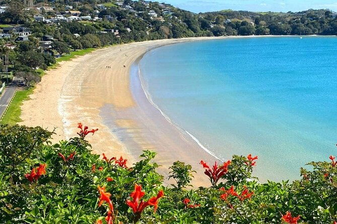 1.5h Waiheke Guided Scenic Tour in our Electric Van - Key Points