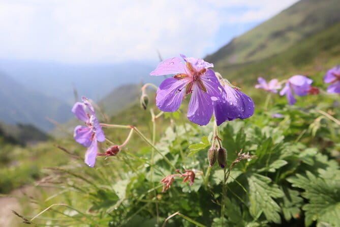 1 day Ala-Archa gorge tour - A Complete Look at the 1-Day Ala-Archa Gorge Tour