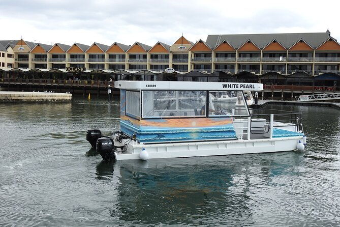 1 Hour Deluxe Scenic Dolphin Cruise - A Closer Look at the 1 Hour Deluxe Scenic Dolphin Cruise in Mandurah