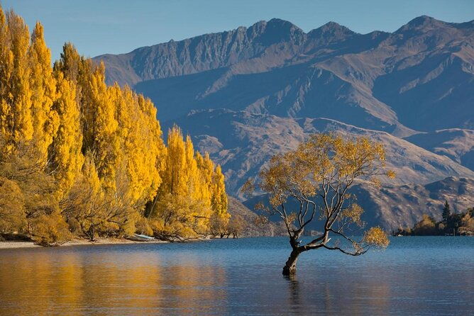 1-Hour Ruby Island Cruise and Walk from Wanaka - A Closer Look at the 1-Hour Ruby Island Cruise and Walk from Wanaka