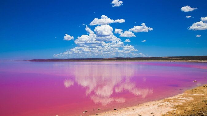 13-Days Kite Safari Tour in Western Australia - Introduction