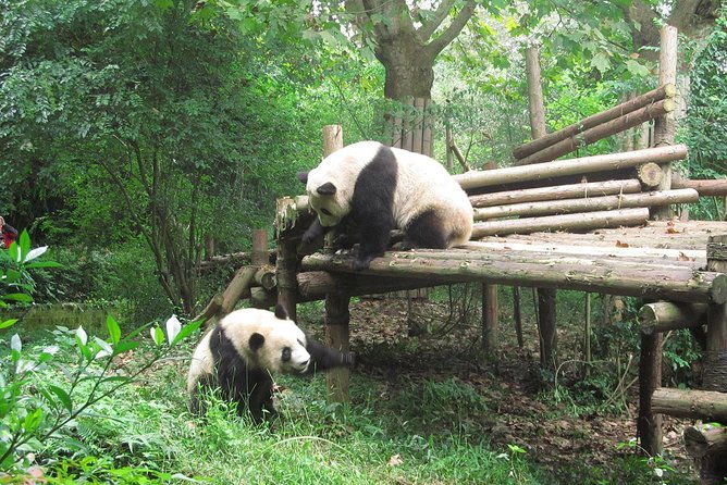 16-Day Private China Essence Tour with Yangtze River Cruise - Starting in Beijing: History and Culture  