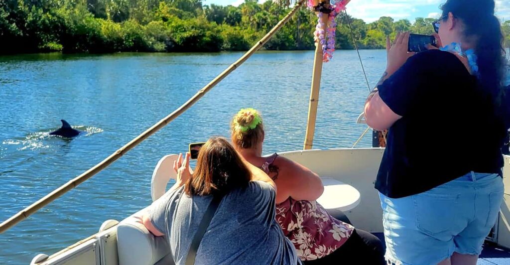 2 Hour Tiki Dolphin Sightseeing Tour in Cocoa Beach