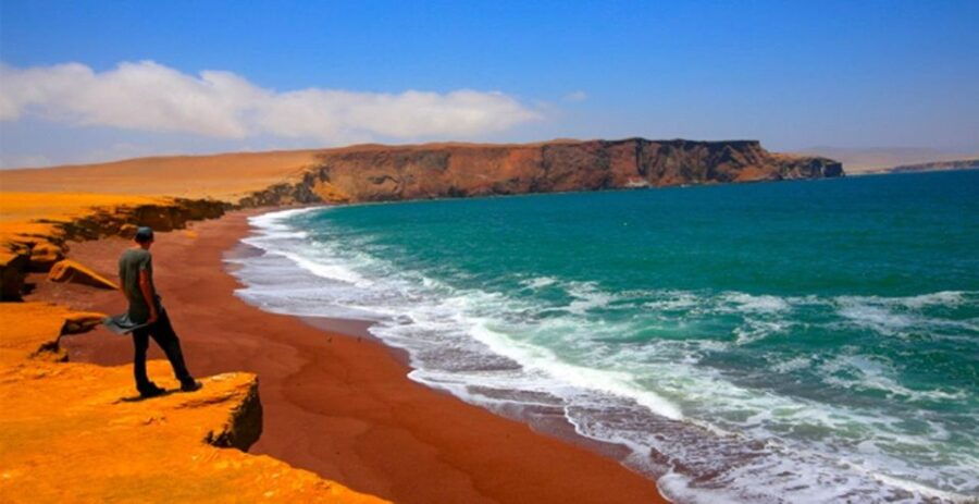 4-day-from-lima-nazca-lines-flight-paracas-and-huacachina