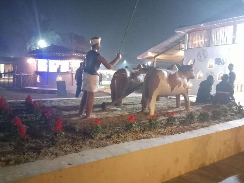 5-days-with-one-tower-night-stay-in-chitwan-national-park