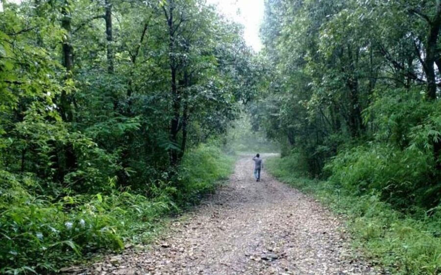 a-day-hiking-from-kathmandu-phulchowki-hill