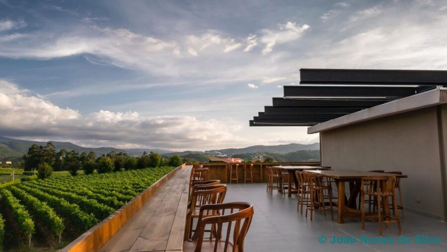 a-trip-through-the-green-wines-of-the-basto-region